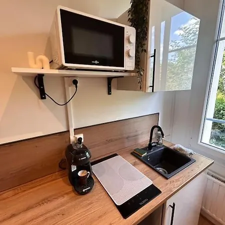 Apartment Le Ptit Nid Doux Nancy